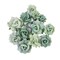 Prima Marketing Inc Prima Flowers® My Sweet Collection - Emerald Beauty - 12 Pcs 655350652913